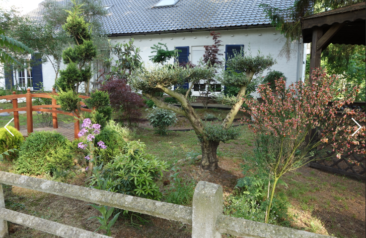 當東方碰撞西方 – <br/>我的庭院設計比賽得首獎