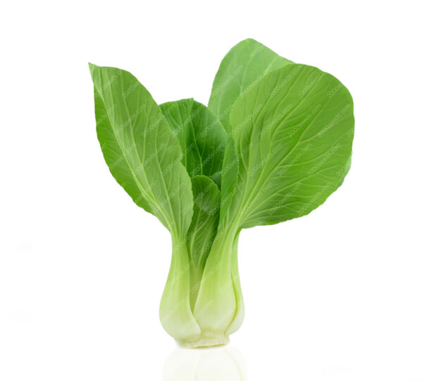 Pai tsai 湯匙菜 Green Heart F1 - Image 2