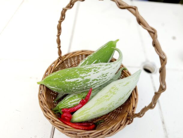 Snake Gourd 蛇瓜  Snakie：圖片 8