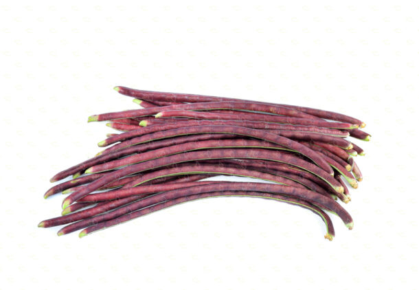 Asparagus bean 豇豆 Purple Summer