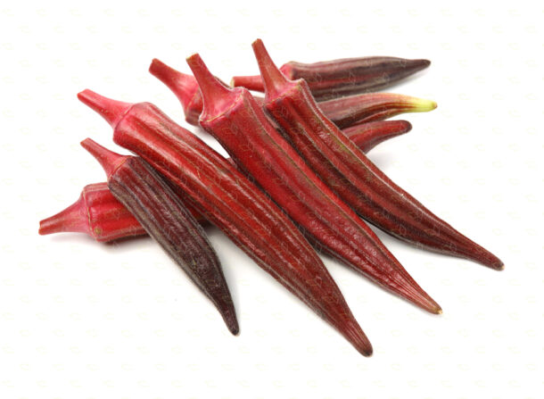 Okra 紅秋葵 Scarlet Joy F1