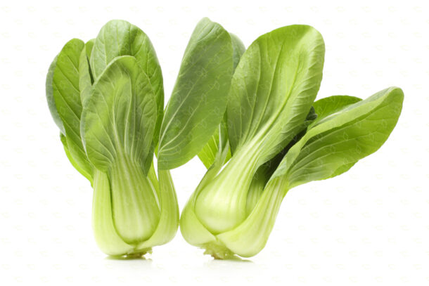 Pai tsai 湯匙菜 Green Heart F1