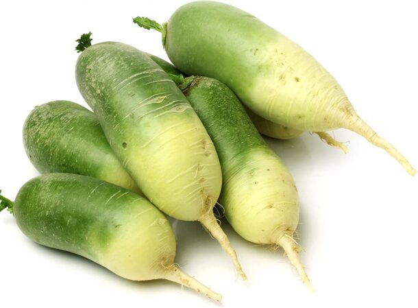 Radish 白蘿蔔 (半青) Greenwill